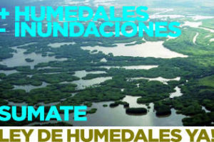 Ley de Humedales: la “obra” más postergada