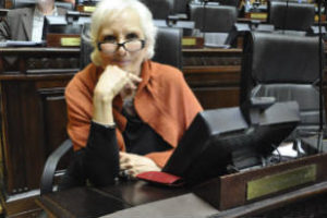 Rinaldi habló sobre su alejamiento en la Legislatura