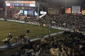Otra controversia con las transmisiones de la TV Pública