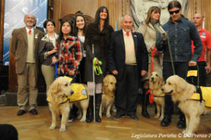 Perros Guía : Declararon de interés social a la Escuela