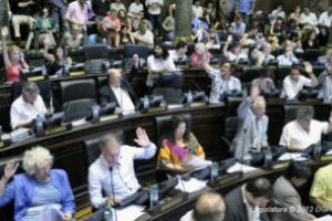 La Ciudad  tiene Ley de Techos o Terrazas Verdes