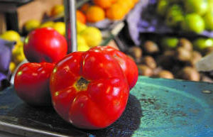 Ahora descartan el impulso a la importación de tomates