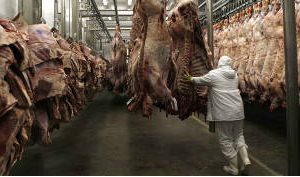 Trabajadores y empresarios del sector frigorífico mañana con la presidente