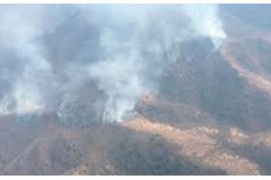 Sòlo cinco provincias con incendios activos