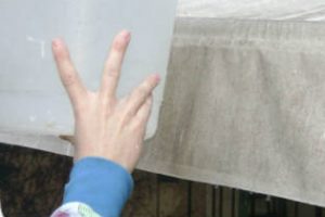 Dengue: prevención cotidiana