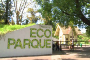 Video: La historia del zoológico al ecoparque