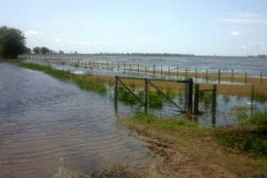 Noroeste bonaerense: Intenso operativo de asistencia por inundaciones