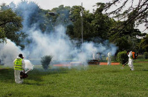 Brote Nacional: Dengue, fumigan plazas y parques