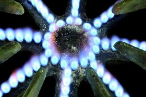 Facturas de gas con subas de hasta 500%