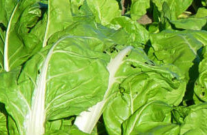 La acelga, el producto  de alimentos que más subió