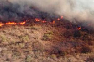 Sobrevolaron áreas afectadas por incendios