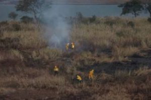 Reunión por los incendios del delta del Paraná