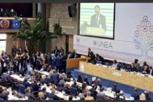 Ambiente: IV Asamblea de Naciones Unidas