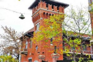 Raffo realizó donación de  películas nacionales al Museo del Cine