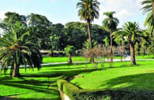 Reabren la Plaza Alvear en Recoleta