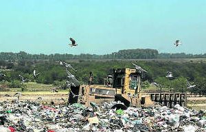 Problemas con la basura