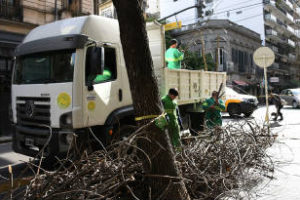 Comunas: Comenzó trabajos de poda verde
