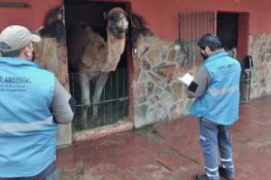 Zoológico de Luján se mantendrá cerrado