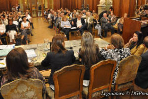 Apoyo vecinal a un espacio verde en Colegiales
