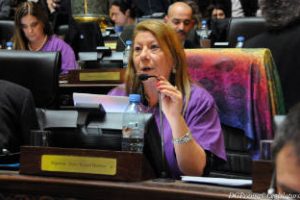 Fuertes criticas de la legisladora del PRO Herrero