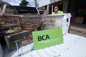 Ambiente decomisó aves en una forrajería