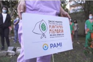 PAMI: Plantaron árboles en Memoria, verdad y justicia