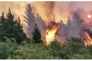 Ambiente:Por incendios presentarán una denuncia