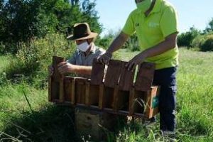 Ambiente liberó aves provenían de tráfico