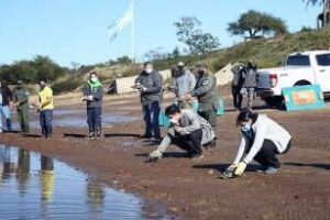 Se liberaron 17 animales en un santuario natural