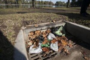 Consejos para la recolección de hojas en época otoñal