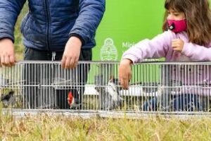 Ministerio de Ambiente: Liberó cerca de un centenar de aves rescatadas