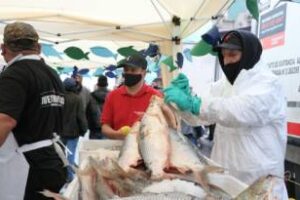 Pescadazo de la UTEP Agraria vendió 12 mil kilos a 100 pesos