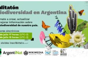 Taller virtual para incluir artículos sobre biodiversidad en Wikipedia