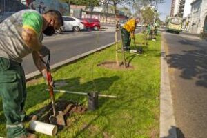 En la Ciudad se celebró el Día del árbol con plantaciones