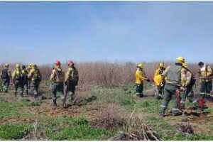 Ambiente:Fueron extinguidos los incendios en zona de San Nicolás