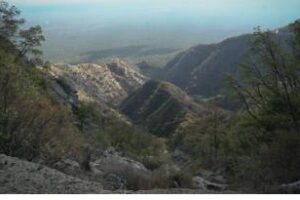 Titular de ambienta de la Nación pasó por Córdoba