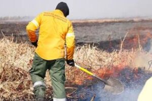 Ambiente:Continúa asistiendo a las provincias en los incendios