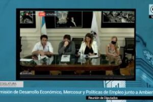 Se reunieron las comisiones de Desarrollo Económico y  Ambiente