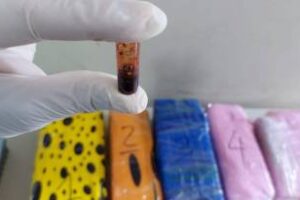 Tres detenidos:Incautan 24 kilos de marihuana en una entrega controlada