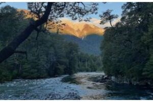 Se celebró el Día de los Parques Nacionales en Los Alerces