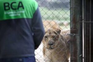 Ministerio de Ambiente volvió a inspeccionar el Zoológico de Luján
