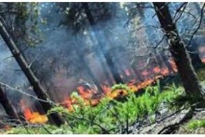 Incendios forestales:Localidad de Aluminé, permanecen activos focos