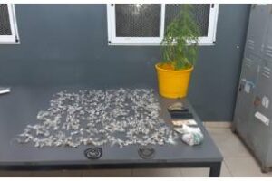 Barrio 31 Bis:Detienen a dos dealers con más de 600 dosis de marihuana