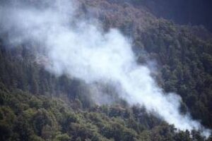 Incendios en Bariloche: se conformó un comité de emergencia