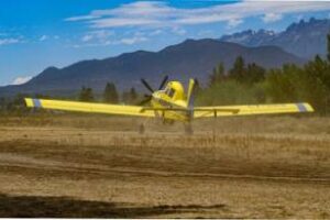 Ambiente: Envía más medios aéreos para combatir los incendios forestales