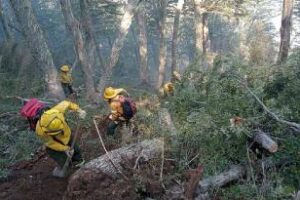 Incendios forestales: Ambiente envía más brigadistas a la Patagonia