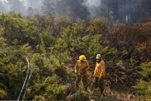 Fue contenido el incendio en Aluminé, Neuquén