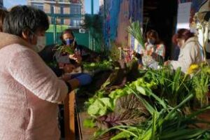 Ciudad:Cómo funciona la economía popular y social porteña