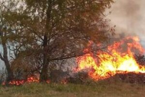 Ambiente:Los focos de incendio en Corrientes están controlados
