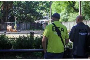 Ecoparque: Brigada de Control, inspeccionó el recinto de camellos